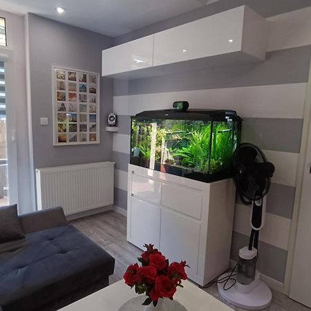 Apartament Rodzinny Z Ogrodkiem W Centrum Gizycka Giżycko Esterno foto